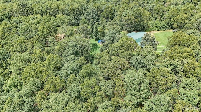 3261 Hwy W, Salem, MO 65560 - photo 72