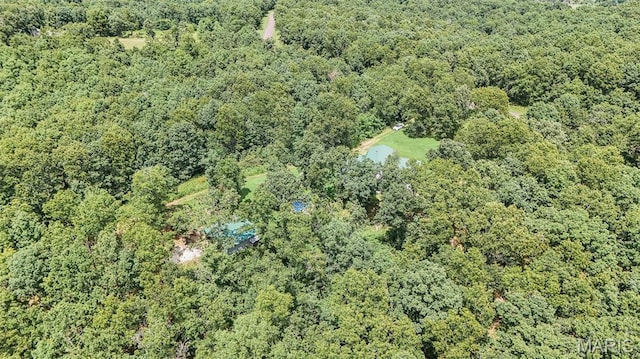 3261 Hwy W, Salem, MO 65560 - photo 73