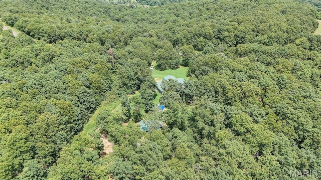 3261 Hwy W, Salem, MO 65560 - photo 74