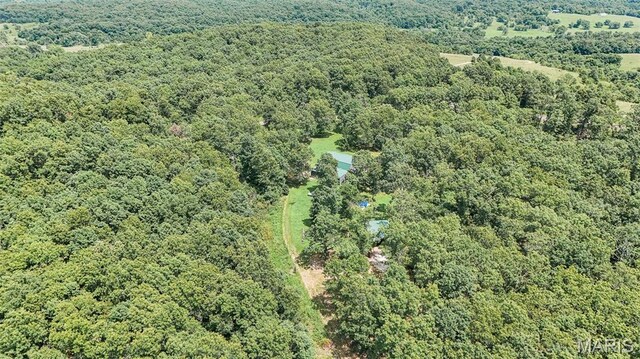 3261 Hwy W, Salem, MO 65560 - photo 75