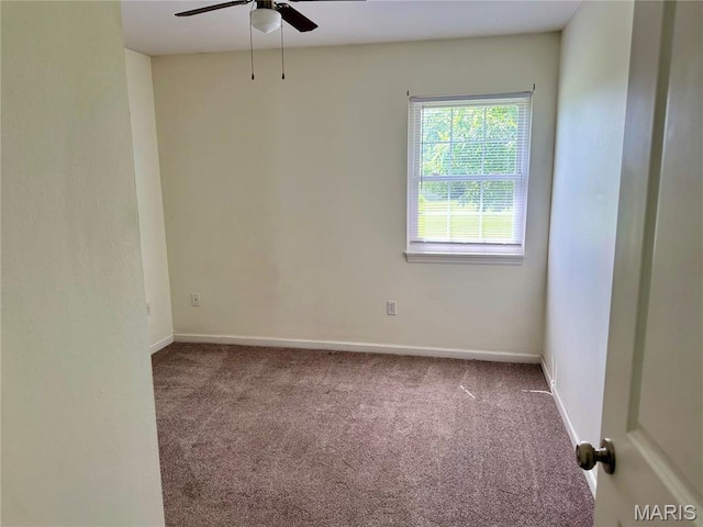 101 Robby Ln, Farmington, MO 63640 - photo 16