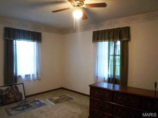 1469 County Road 302, Poplar Bluff, MO 63901 - photo 9