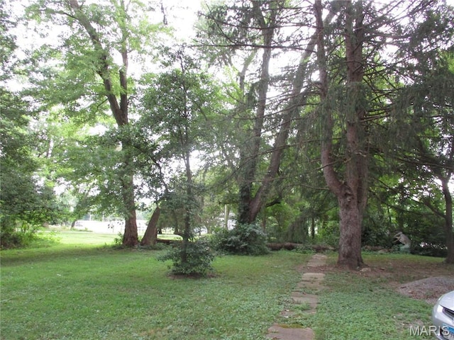 503 S Park, Percy, IL 62272 - photo 7