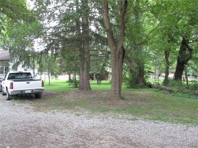 503 S Park, Percy, IL 62272 - photo 8