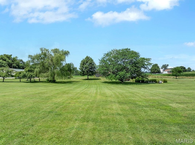 15856 Wendle Rd, Godfrey, IL 62035 - photo 52