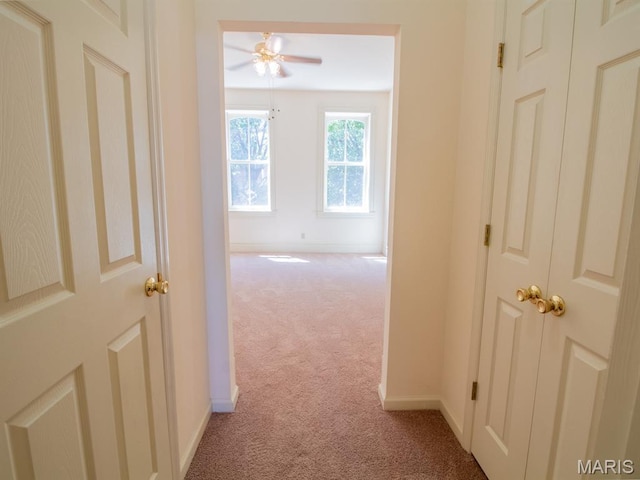 2312 S 10th, Saint Louis, MO 63104 - photo 10