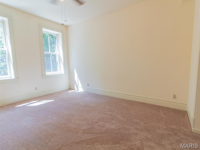 2312 S 10th, Saint Louis, MO 63104 - photo 12