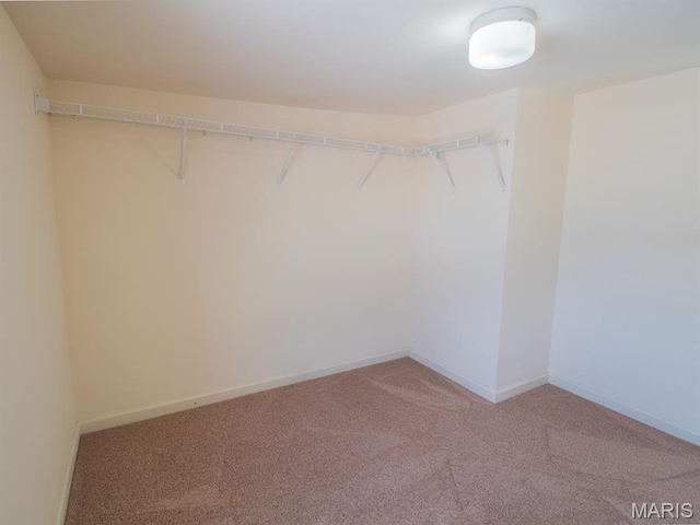2312 S 10th, Saint Louis, MO 63104 - photo 20
