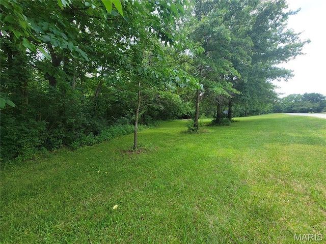 111 Alta Ln, Winfield, MO 63389 - photo 4