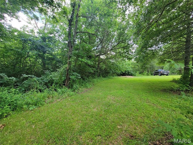 111 Alta Ln, Winfield, MO 63389 - photo 5