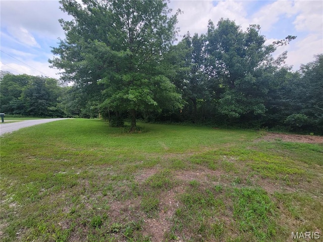 111 Alta Ln, Winfield, MO 63389 - photo 6