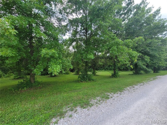 111 Alta Ln, Winfield, MO 63389 - photo 8