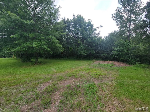 111 Alta Ln, Winfield, MO 63389 - photo 10