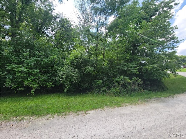 111 Alta Ln, Winfield, MO 63389 - photo 14