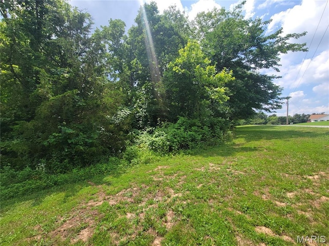 111 Alta Ln, Winfield, MO 63389 - photo 15