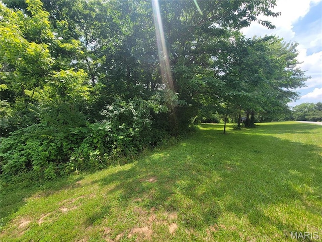 111 Alta Ln, Winfield, MO 63389 - photo 16