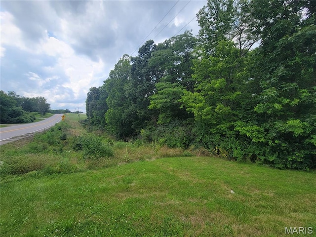 111 Alta Ln, Winfield, MO 63389 - photo 17