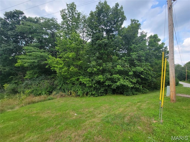 111 Alta Ln, Winfield, MO 63389 - photo 18