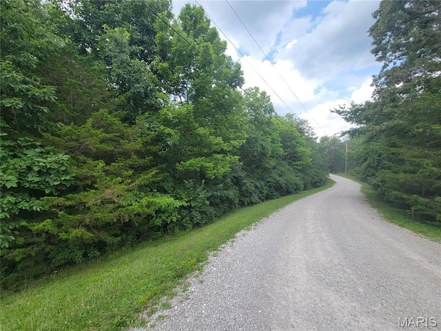 111 Alta Ln, Winfield, MO 63389 - photo 19
