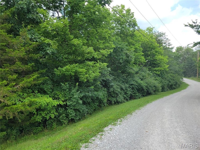 111 Alta Ln, Winfield, MO 63389 - photo 20