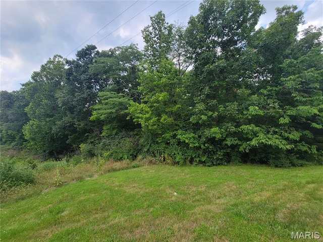 111 Alta Ln, Winfield, MO 63389 - photo 21