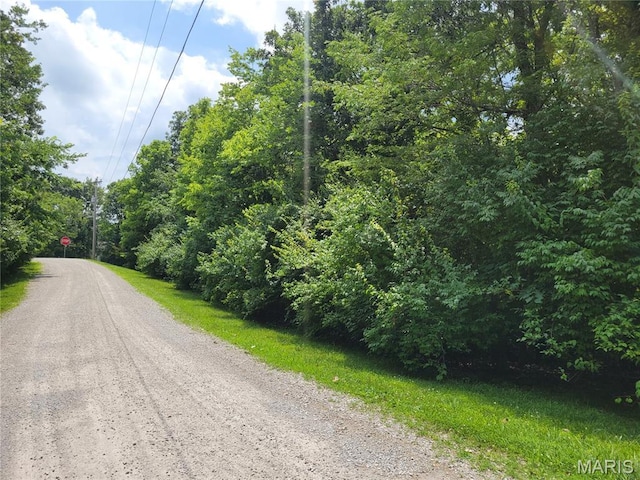 111 Alta Ln, Winfield, MO 63389 - photo 22