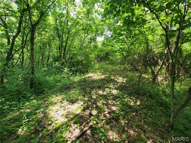 111 Alta Ln, Winfield, MO 63389 - photo 24
