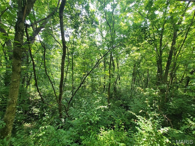 111 Alta Ln, Winfield, MO 63389 - photo 25