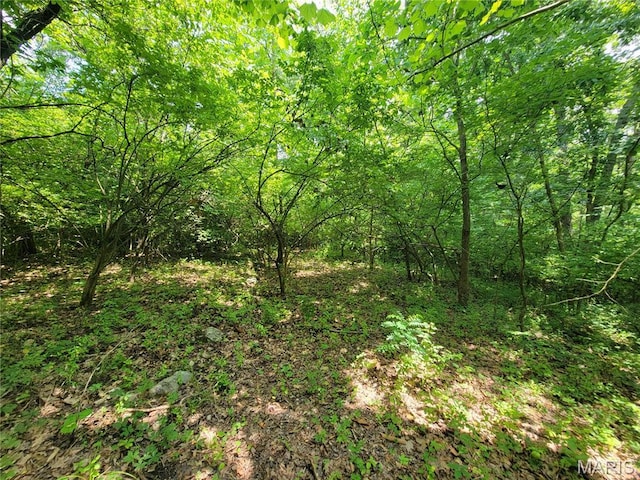 111 Alta Ln, Winfield, MO 63389 - photo 28