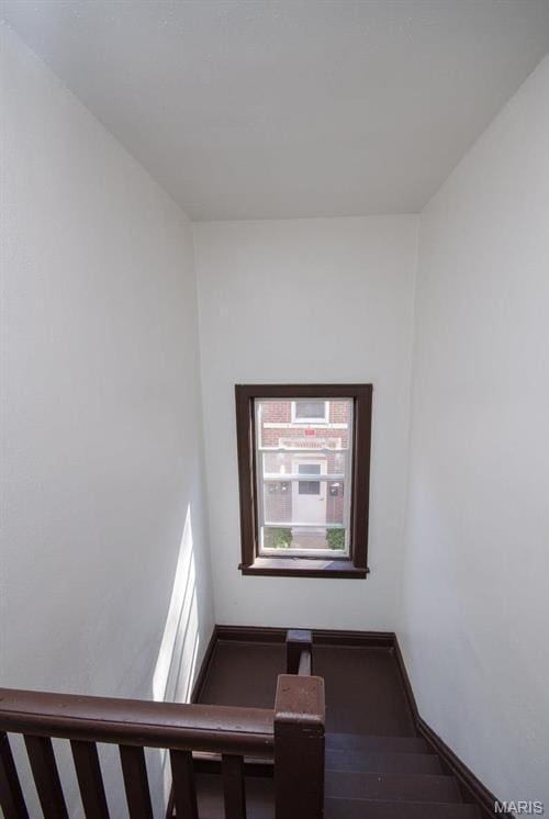 4219 Ellenwood Ave, Saint Louis, MO 63116 - photo 12