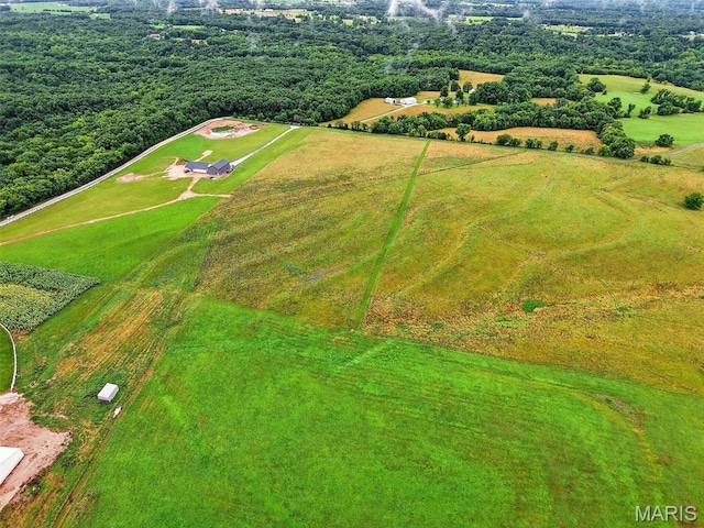 10AC Phelps Ln, Elsberry, MO 63343 - photo 5
