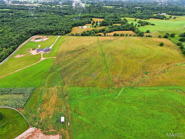 10AC Phelps Ln, Elsberry, MO 63343 - photo 9