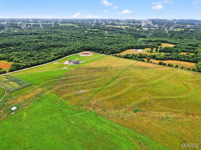10AC Phelps Ln, Elsberry, MO 63343 - photo 10
