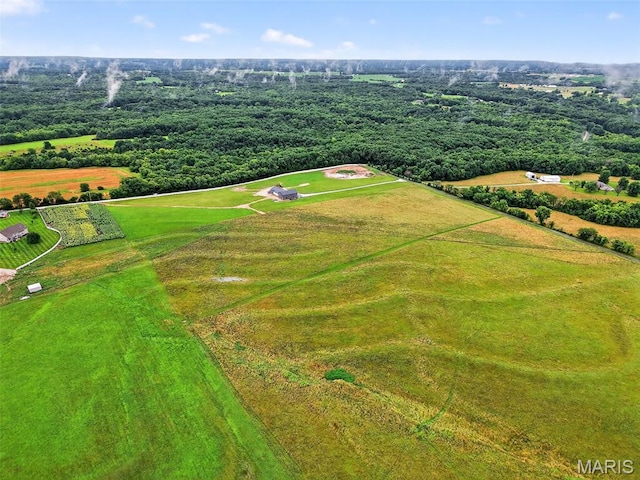 10AC Phelps Ln, Elsberry, MO 63343 - photo 11