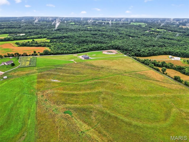 10AC Phelps Ln, Elsberry, MO 63343 - photo 12