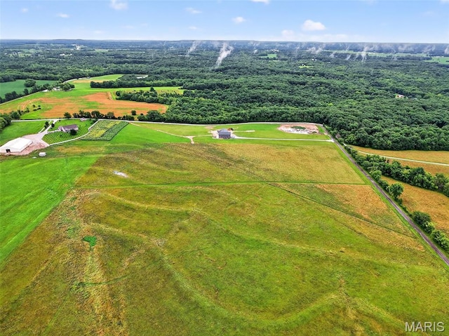 10AC Phelps Ln, Elsberry, MO 63343 - photo 13
