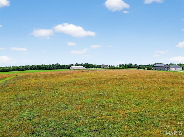 10AC Phelps Ln, Elsberry, MO 63343 - photo 18