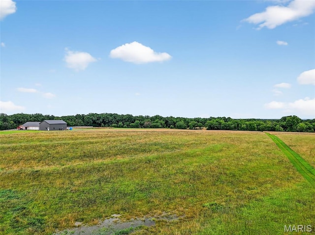 10AC Phelps Ln, Elsberry, MO 63343 - photo 19