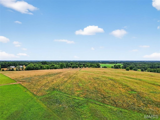 10AC Phelps Ln, Elsberry, MO 63343 - photo 20