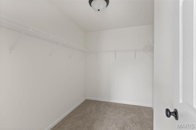 282 Noser Dr, Florissant, MO 63031 - photo 10