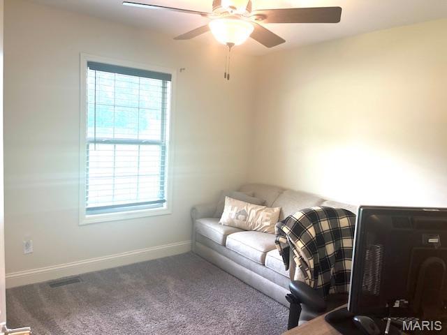 263 Leimer Ln, Jackson, MO 63755 - photo 6
