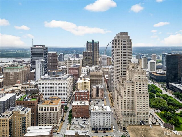 1010 Saint Charles St Unit 503, Saint Louis, MO 63101 - photo 44