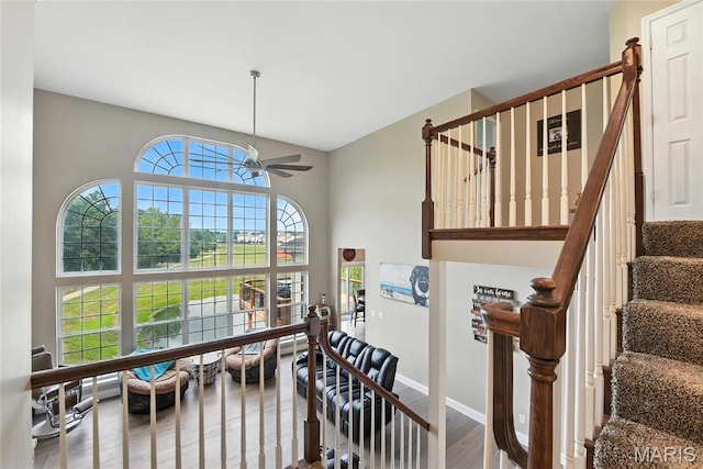 312 Coley Ct, Wentzville, MO 63385 - photo 15