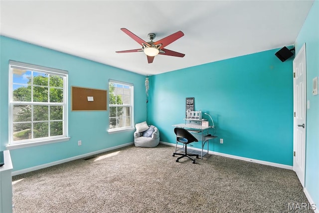 312 Coley Ct, Wentzville, MO 63385 - photo 19