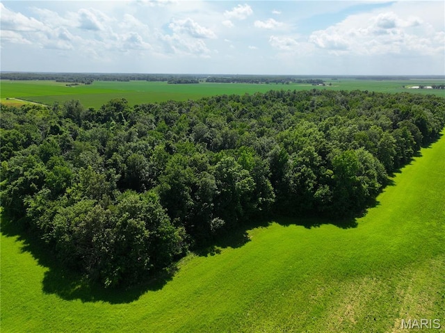 1329 County Road 581, Fisk, MO 63940 - photo 27