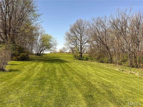 155 Zalabak Rd, Hawk Point, MO 63349 - photo 9