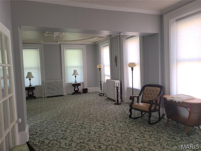 212 E Main St, Carlinville, IL 62626 - photo 10