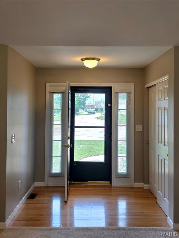 137 Black Lantern Trl, Saint Peters, MO 63376 - photo 7