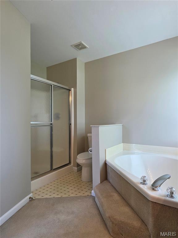 137 Black Lantern Trl, Saint Peters, MO 63376 - photo 26