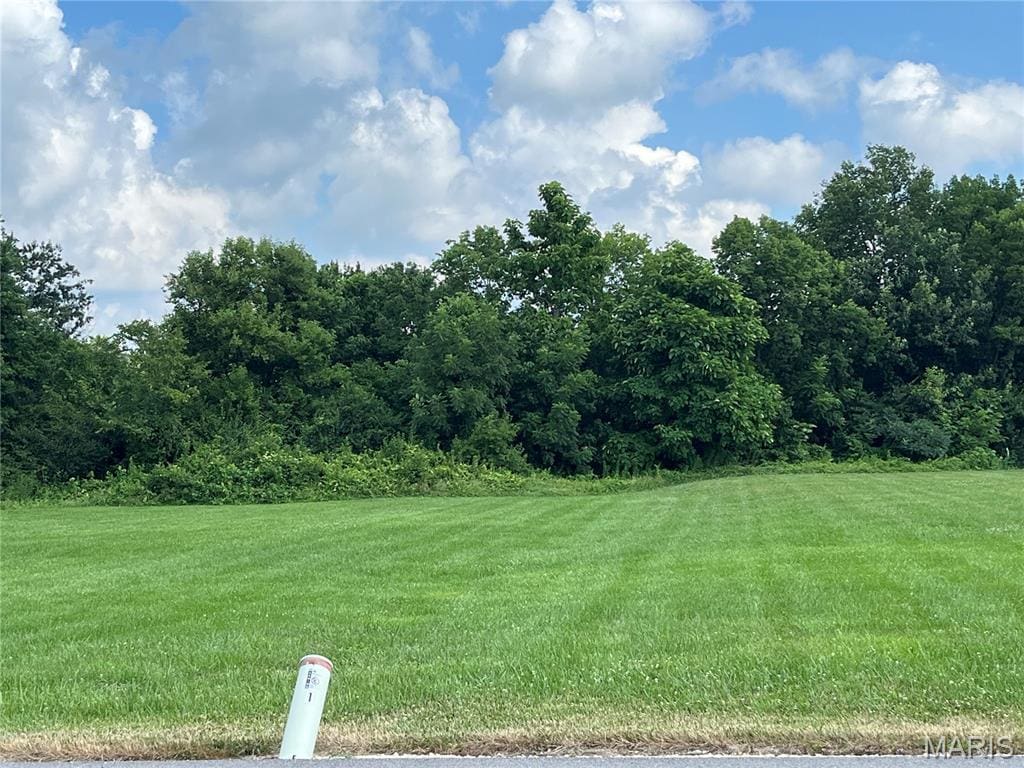 O Kincaid St, Bowling Green, MO 63334 - photo 1